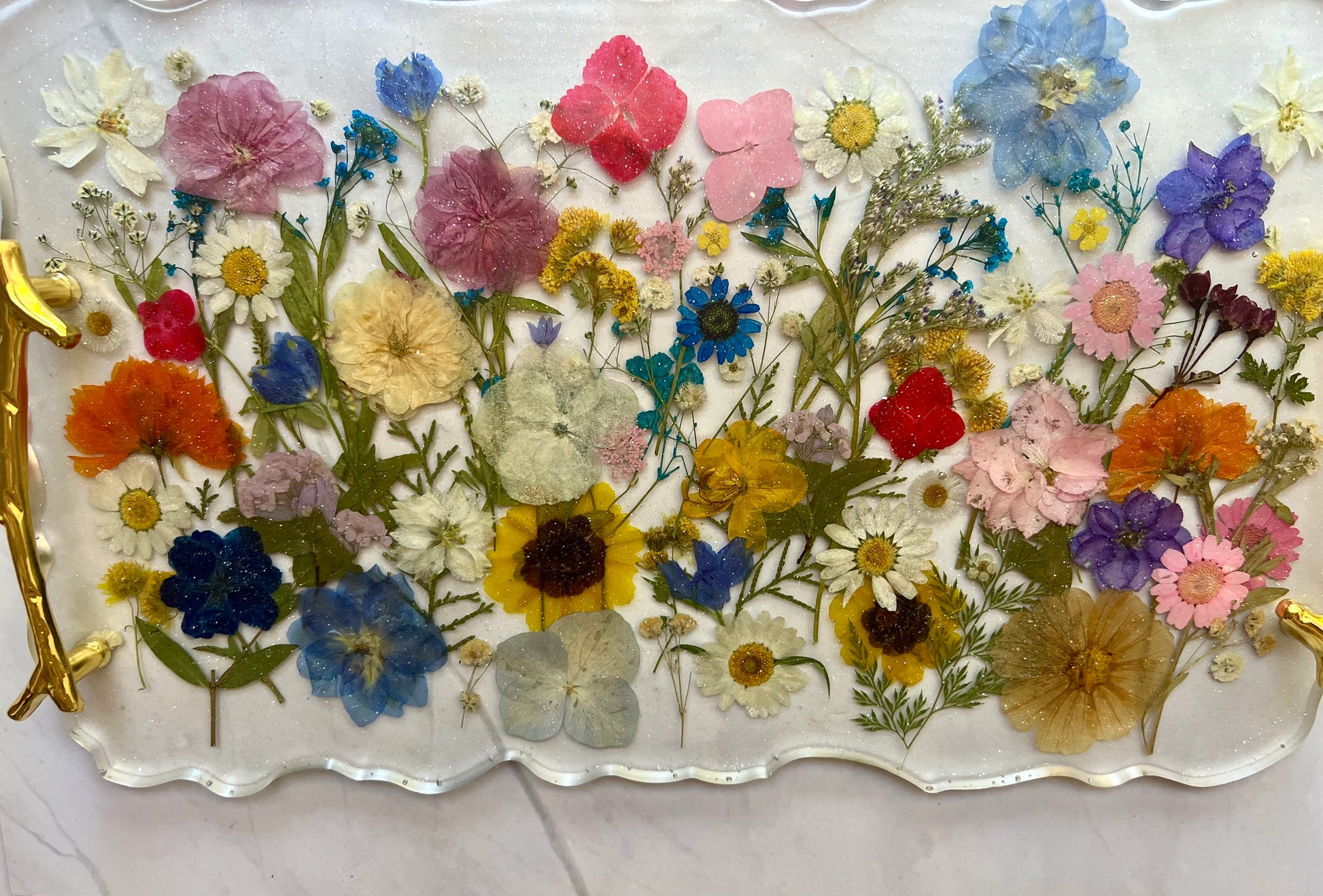 a collection of colorful dried flowers arranged on a clear surface.